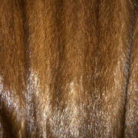 Full Length Demi Buff Mink Directional Coat - Picture 5 of 6